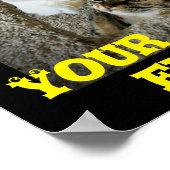 Funny Cats, Poster (Ecke)