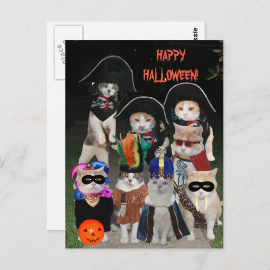 Funny Cats Prowling zu Halloween Postkarte (Vorne/Hinten)