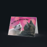 Funny Cats Sie sagten mir, es gäbe CAKE Birthday Karte<br><div class="desc">Dottie das niedliche weiße Kätzchen besteht auf Onkel Buffett,  dass es Kuchen geben wird! Wer könnte ihr überhaupt nein sagen? Wenn Sie jemanden kennen,  der Katzen und Kuchen Liebe,  dann ist das die Karte für sie. Die Barley Cards bieten Rettungs-Tiermodelle und geben humanen Gesellschaften zurück.</div>