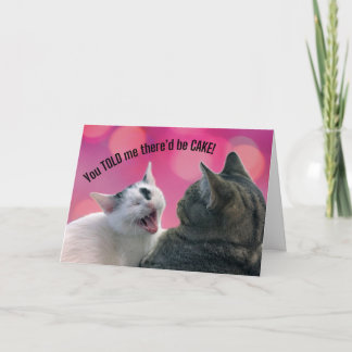 Funny Cats Sie sagten mir, es gäbe CAKE Birthday Karte