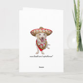 Funny Cats Spanisch Geburtstag für jeden Karte (Rückseite)