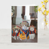 Funny Cats Spanisch Geburtstag für jeden Karte (Gelbe Blume)