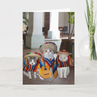 Funny Cats Spanisch Geburtstag für jeden Karte