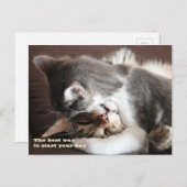 Funny Cats squeeze hug Postkarte (Vorne/Hinten)