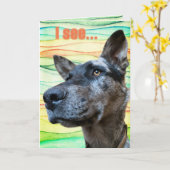 Funny Cattle Hund Head Foto farbenfroh Hintergrund Karte (Gelbe Blume)