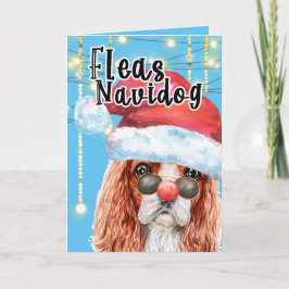 Funny Charles spaniel Christmas flehdog Karte