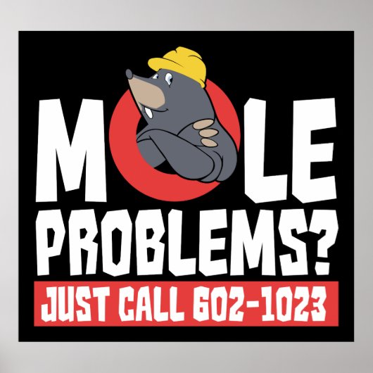 Funny Chemistry Teacher Mole Problem Gag Poster (Vorne)