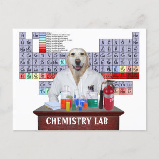 Funny Chemistry Teacher Postcard mit Labrador Postkarte