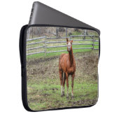 Funny Chestnut Stallion Horse Foto Laptopschutzhülle (Vorne Rechts)