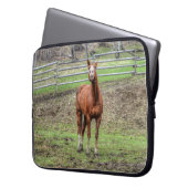 Funny Chestnut Stallion Horse Foto Laptopschutzhülle (Vorderseite Links)