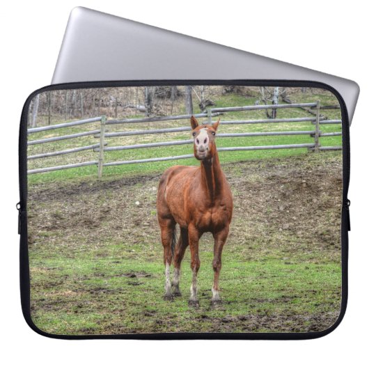 Funny Chestnut Stallion Horse Foto Laptopschutzhülle (Vorderseite)