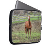 Funny Chestnut Stallion Horse Foto Laptopschutzhülle (Vorne Rechts)