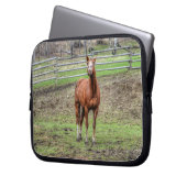 Funny Chestnut Stallion Horse Foto Laptopschutzhülle (Vorderseite Links)