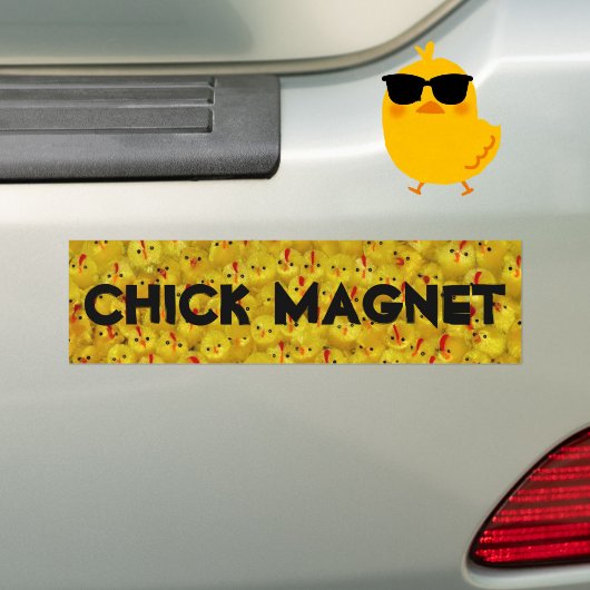 Funny CHICK MAGNET Joke Yellow Chicks Autoaufkleber