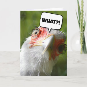FUNNY CHICKEN BIRTHDAY CARD KARTE