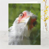 FUNNY CHICKEN BIRTHDAY GREETING CARD KARTE (Gelbe Blume)