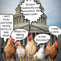 Funny Chicken Democrats Political Humor