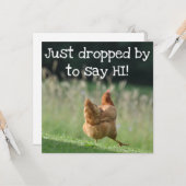Funny Chicken Hello Quotes sagen Hi Niedlich Farm Karte (Vorderseite/Rückseite Beispiel)