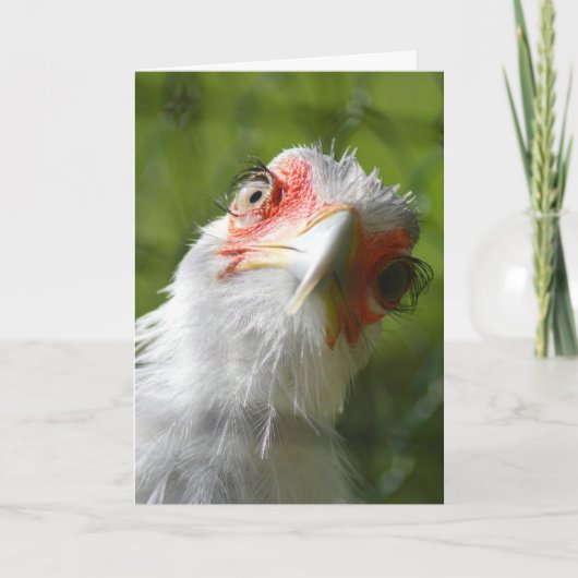 FUNNY CHICKEN MOTHER CLUCKER BIRTHDAY CARD KARTE (Vorderseite)