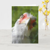 FUNNY CHICKEN MOTHER CLUCKER BIRTHDAY CARD KARTE (Gelbe Blume)