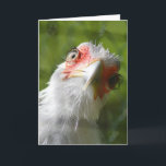 FUNNY CHICKEN MOTHER CLUCKER BIRTHDAY CARD KARTE<br><div class="desc">HAPPY BIRTHDAY MUTTER CLUCKER</div>