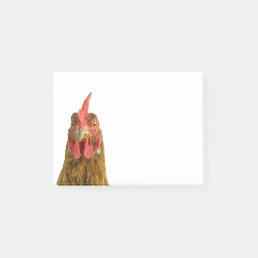 Funny Chicken Portrait Foto Post-it Klebezettel (Vorderseite)