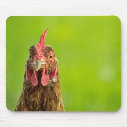 Funny Chicken Portrait - Mousepad (Vorne)