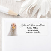 Funny Chicken Return Address Label (Insitu)