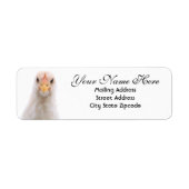 Funny Chicken Return Address Label (Vorne)