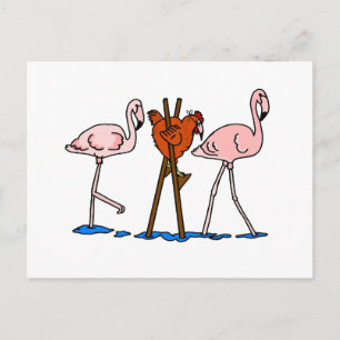 Funny Chicken und Flamingos Postkarte
