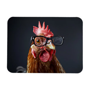 Funny Chicken Wearing Brillen Magnet