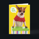 Funny Chihuahu Hund mit Lisp Belated Birthday Card Karte<br><div class="desc">Ouuuuuuuuuuuuuuuuuuuuuuuuuuuuch! Du hast jemandes Geburtstag vergessen. Man kann es mit dieser niedlichen Karte eines Chihuahua mit einem roten Pullover ersetzen, und ihre Pfoten auf einer farbenfrohen Geschenkboxen. Die Zunge des Hundes bleibt hängen, und sie sieht ein wenig gestresst aus, während sie sich daran erinnert, dass sie den Geburtstag des Empfängers...</div>