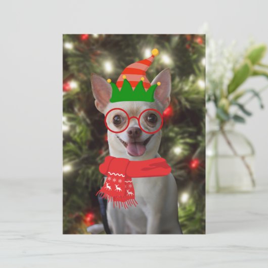 Funny Chihuahua Dog Weihnachten (Stehend Vorderseite)