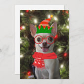 Funny Chihuahua Dog Weihnachten (Vorne/Hinten)