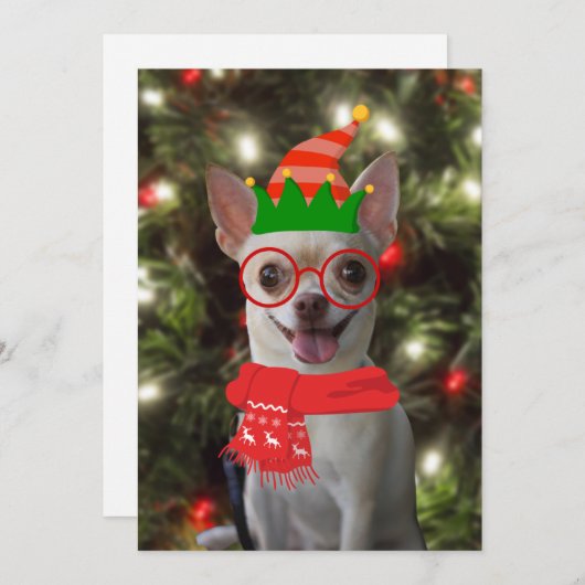 Funny Chihuahua Dog Weihnachten (Vorne/Hinten)