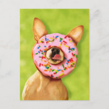Funny Chihuahua Hund mit Sprinkle Donut auf Nase