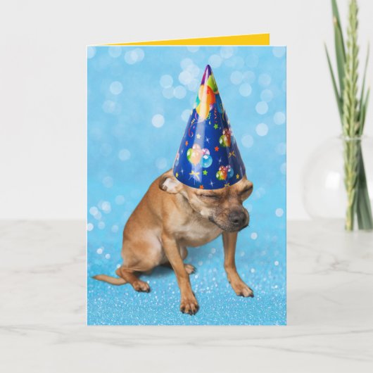 Funny Chihuahua in Birthday Party Hat Karte (Vorderseite)