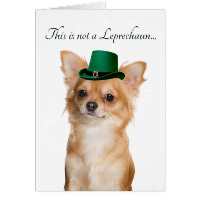 Funny Chihuahua Leprechaun Card (Vorne)