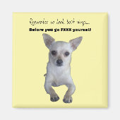 FUNNY CHIHUAHUA  MAGNET (Vorne)