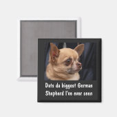 FUNNY CHIHUAHUA MAGNET (Vorderseite/Rückseite)