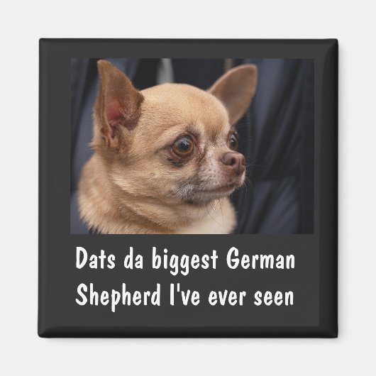 FUNNY CHIHUAHUA MAGNET (Vorne)