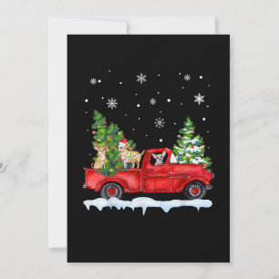 Funny Chihuahua mit dem roten Lkw Weihnachtsfeiert Ankündigung