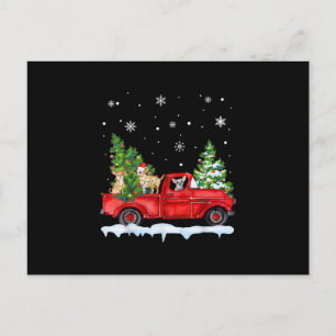 Funny Chihuahua mit dem roten Lkw Weihnachtsfeiert Feiertagspostkarte