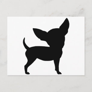 Funny Chihuahua Postkarte