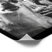 Funny Chihuahua Selfie With Bigfoot Sasquatch Cryp Poster (Ecke)