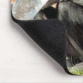 FUNNY CHIMP MOUSEPAD (Ecke)