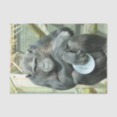 FUNNY CHIMP SEIDENPAPIER (Vorderseite)