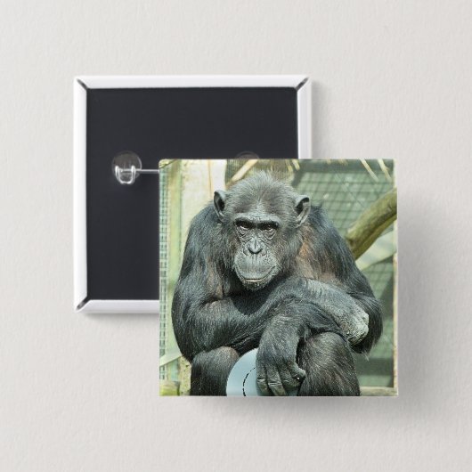 FUNNY CHIMPANZEE BUTTON (Vorne & Hinten)