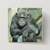 FUNNY CHIMPANZEE BUTTON (Vorderseite)
