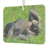Funny Chimpanzee Foto Autolufterfrischer (Links)